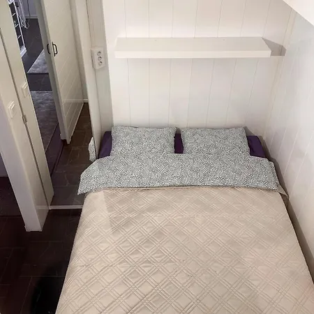 Asemapuisto * Lapinlahti