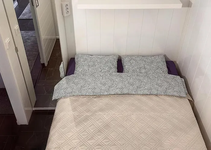 Asemapuisto * Lapinlahti