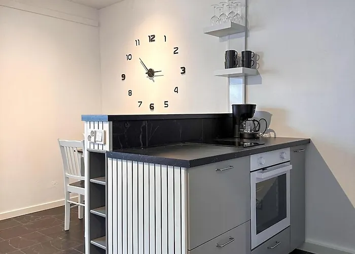 Asemapuisto 公寓 *